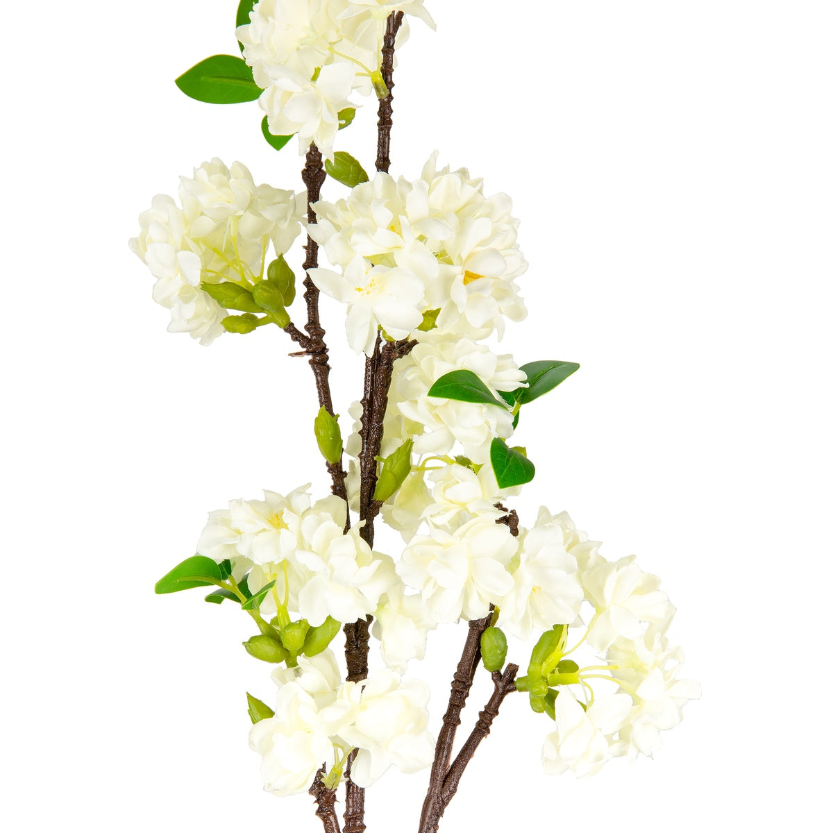 Blossom Branch White