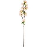 Blossom Branch Light Pink