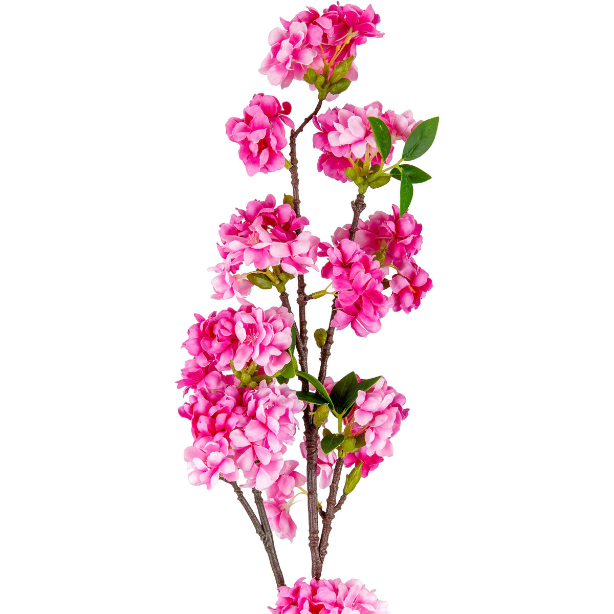 Blossom Branch Dark Pink