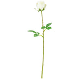 Mia Rose White