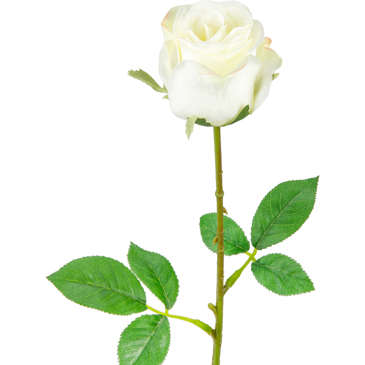 Mia Rose White