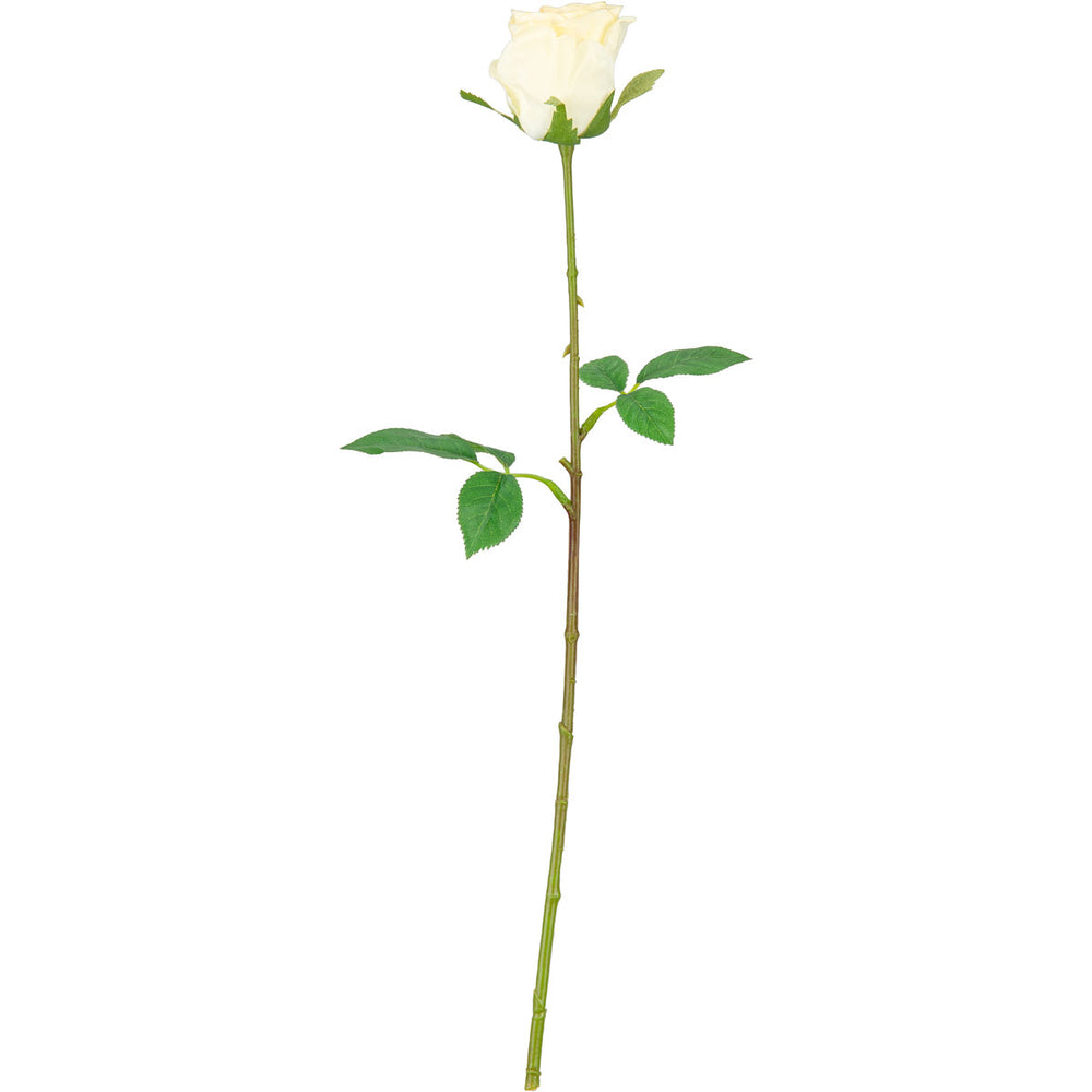 Mia Rose Ivory