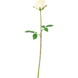 Mia Rose Ivory