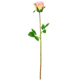 Mia Rose Pink