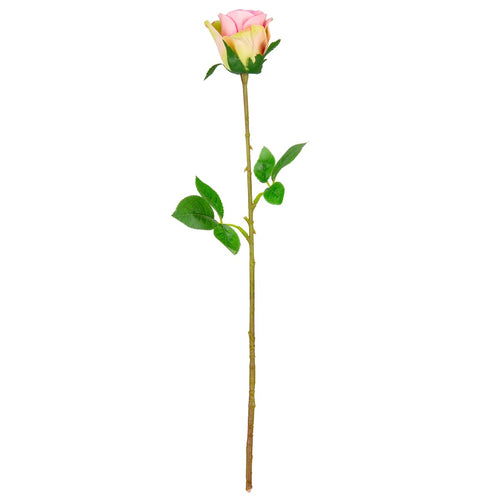 Mia Rose Pink