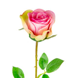 Mia Rose Pink