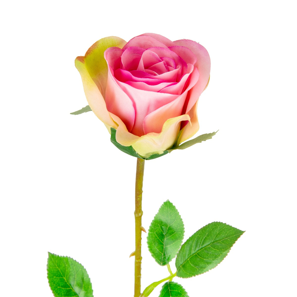 Mia Rose Pink