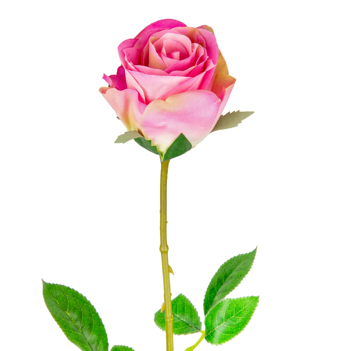 Mia Rose Dark Pink