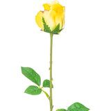 Mia Rose Yellow