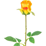 Mia Rose Orange