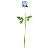 Mia Rose Blue