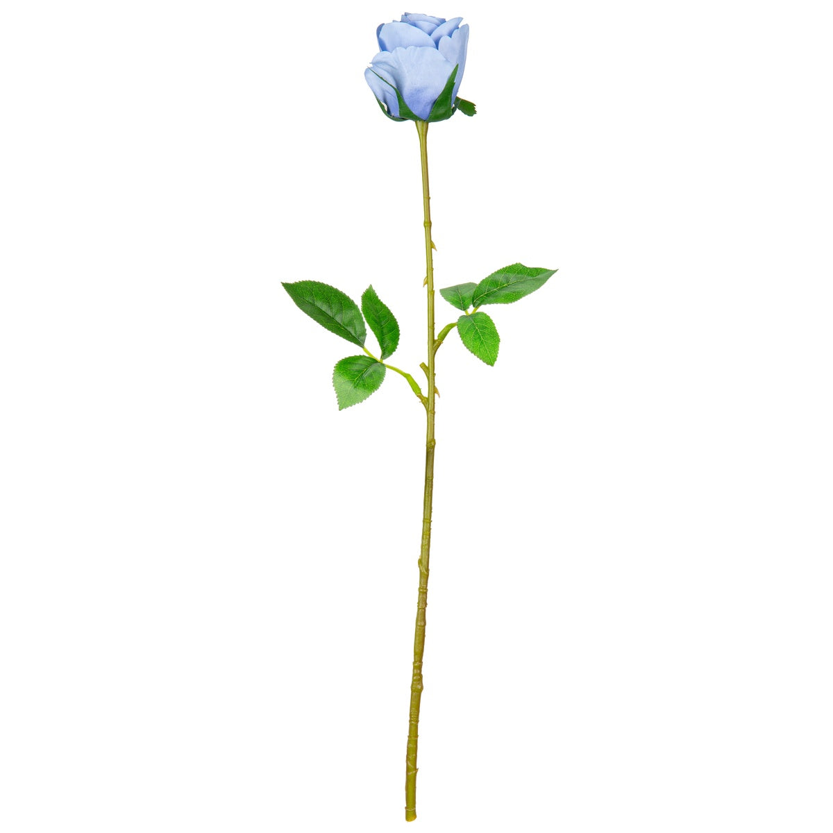 Mia Rose Blue