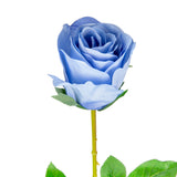 Mia Rose Blue