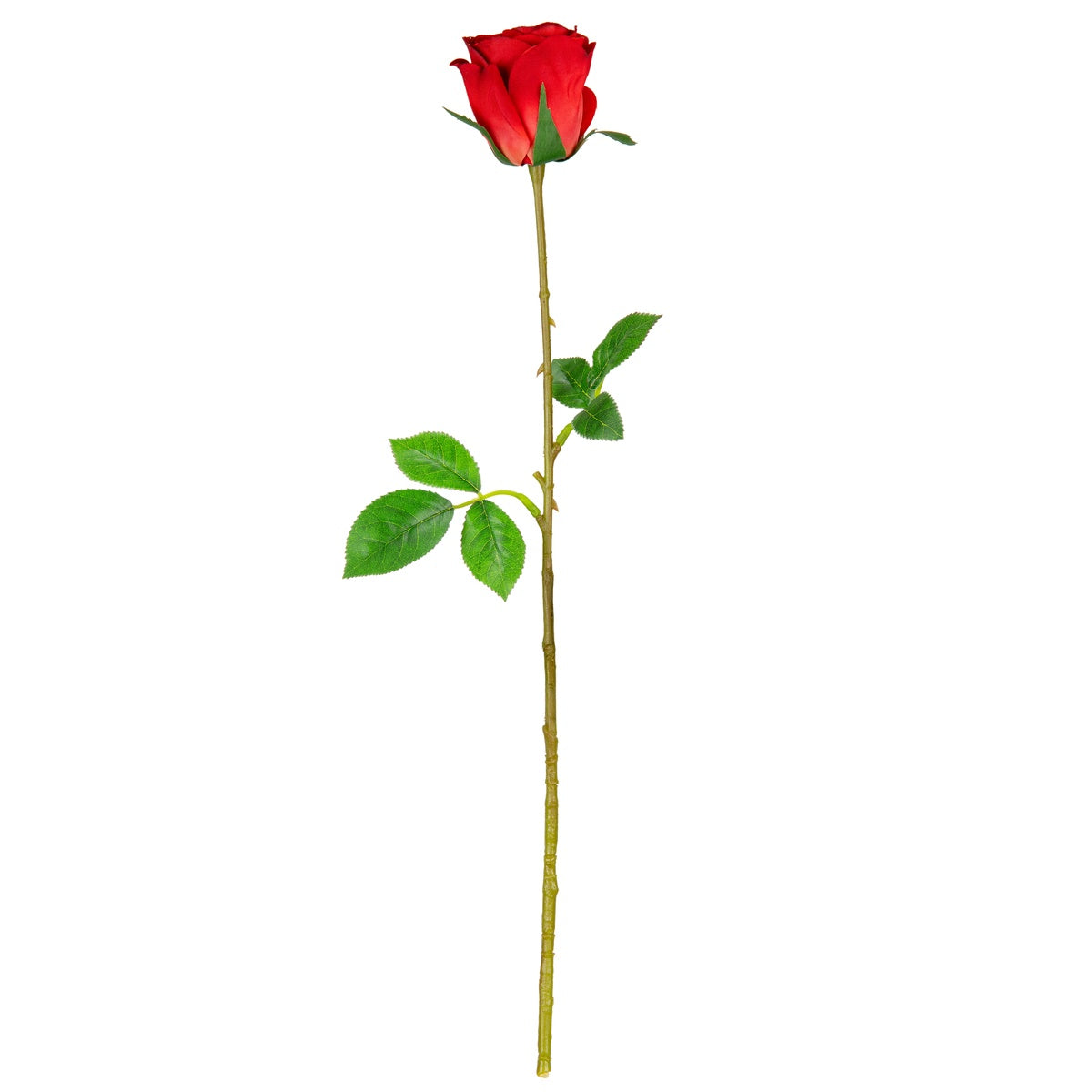 Mia Rose Red