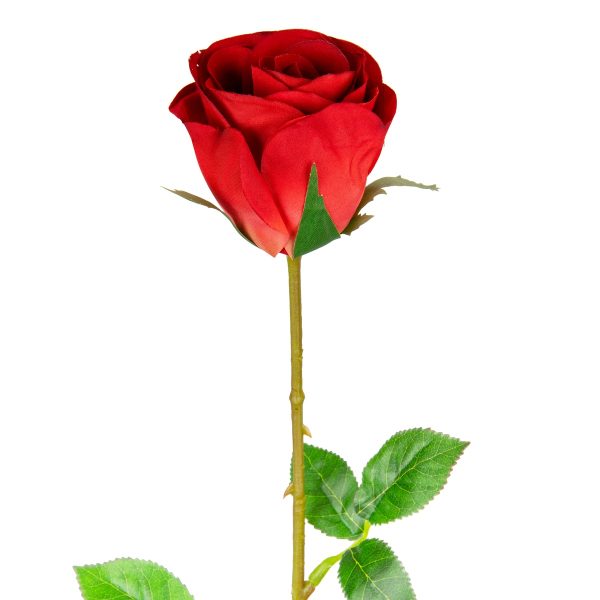 Mia Rose Red