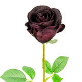 Mia Rose Dark Burgundy