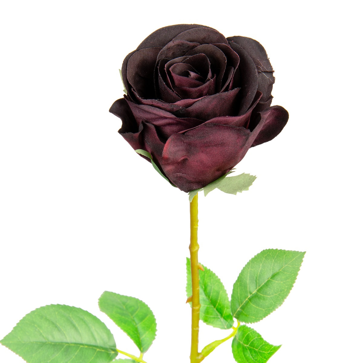 Mia Rose Dark Burgundy