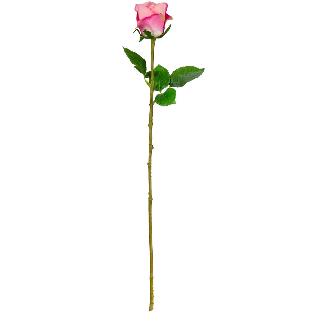 Sophia Rose Dark Pink