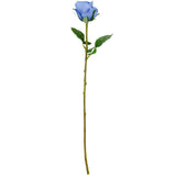 Sophia Rose Blue