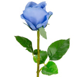 Sophia Rose Blue