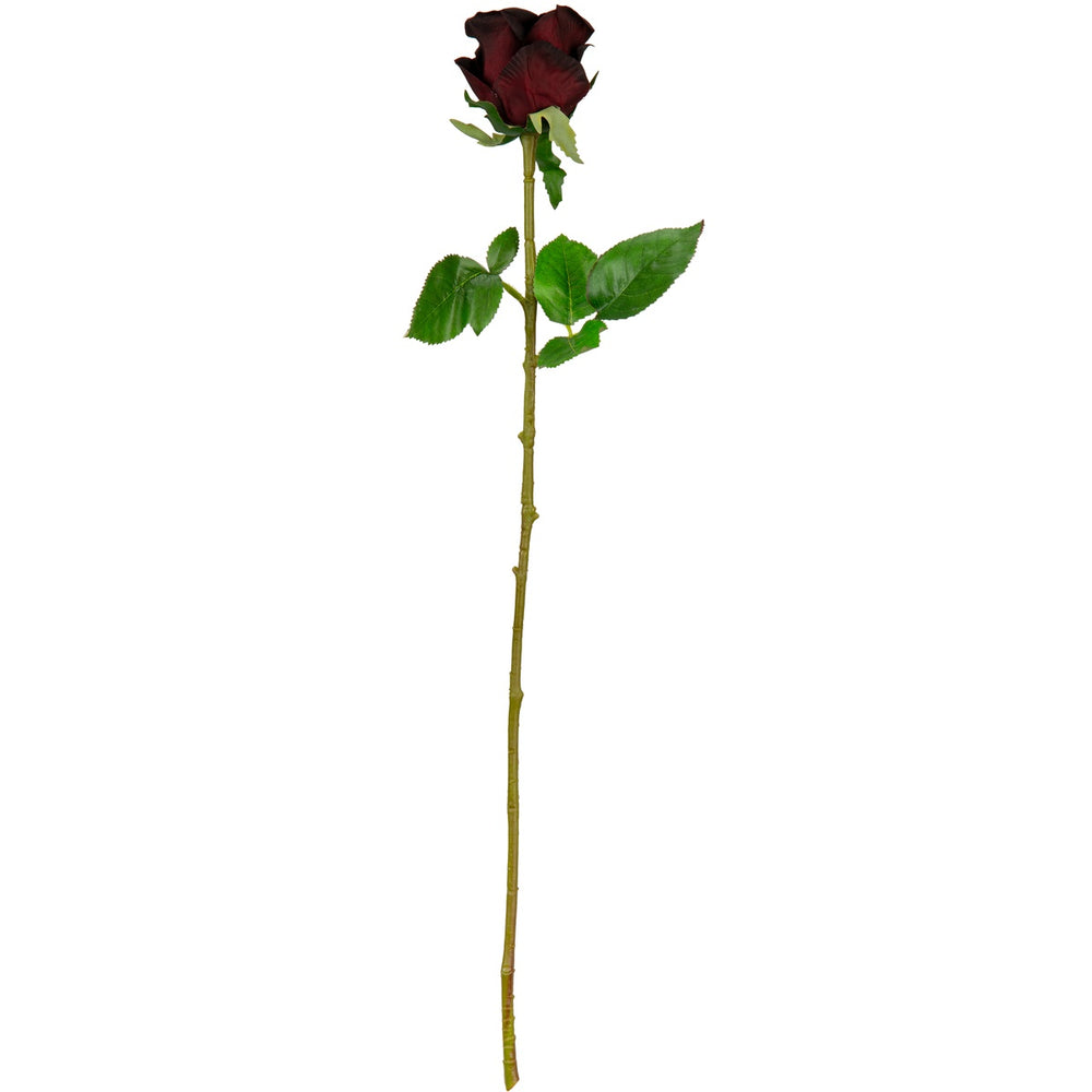 Sophia Rose Dark Burgundy