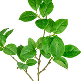 Clematis Leaf Green image 1