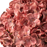 Large Head Hydrangea Vintage Rose image 2