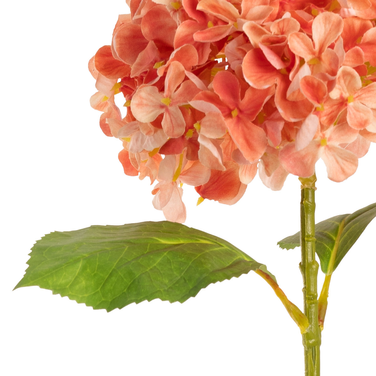 Hydrangea Stem Coral (19cm Head 66cm Stem) image 1