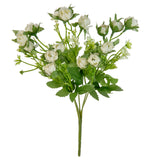 Rosebud Bush White image 0