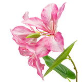 Bauhinia Spray Pink image 1