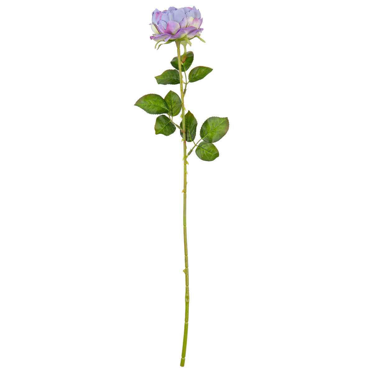 65cm Single Rose Lavender image 0