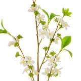 Meadow Blossom White image 1