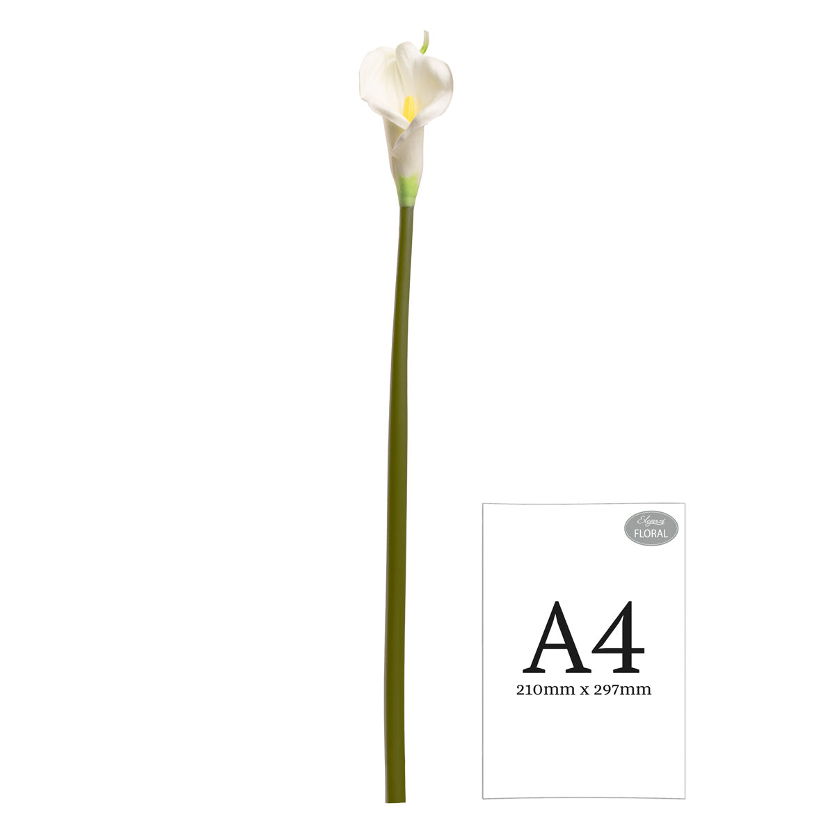 Calla Lily White Long Tall Stem image 1
