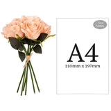 Eugenie Rose Bunch x 6 Champagne image 1