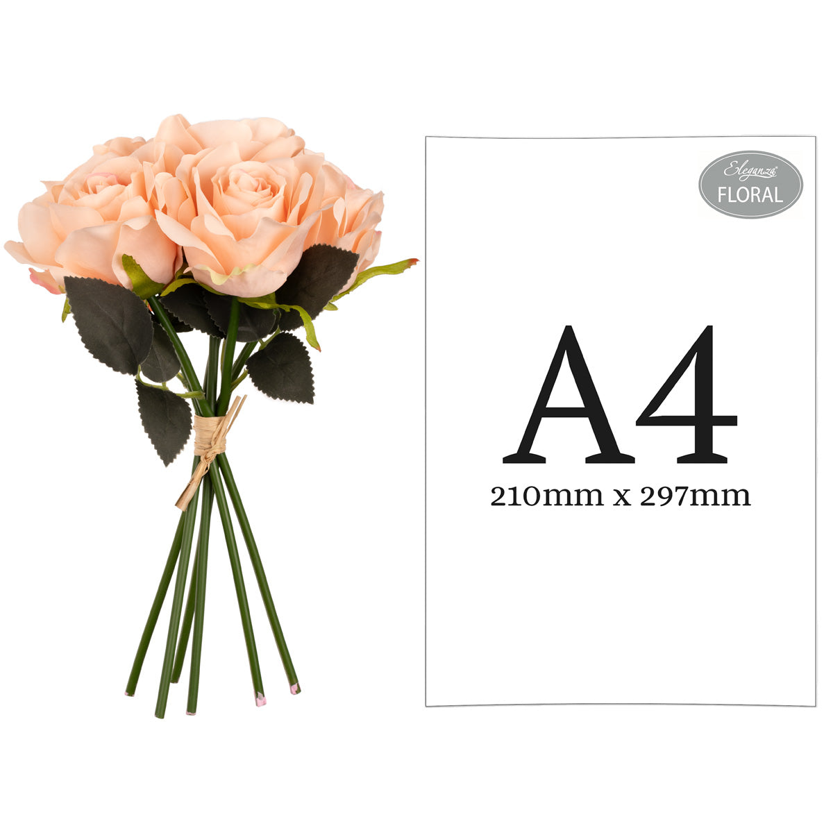 Eugenie Rose Bunch x 6 Champagne image 1