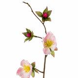 Clematis Spray (78cm) Light Pink image 2