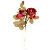 Dry Image Rose Spray Vintage Wine image 1