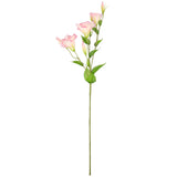 Eleganza Lisianthus Spray x 3 Light Pink image 0