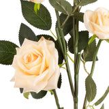 Large Diana Rose Spray x 5 Nude image 1