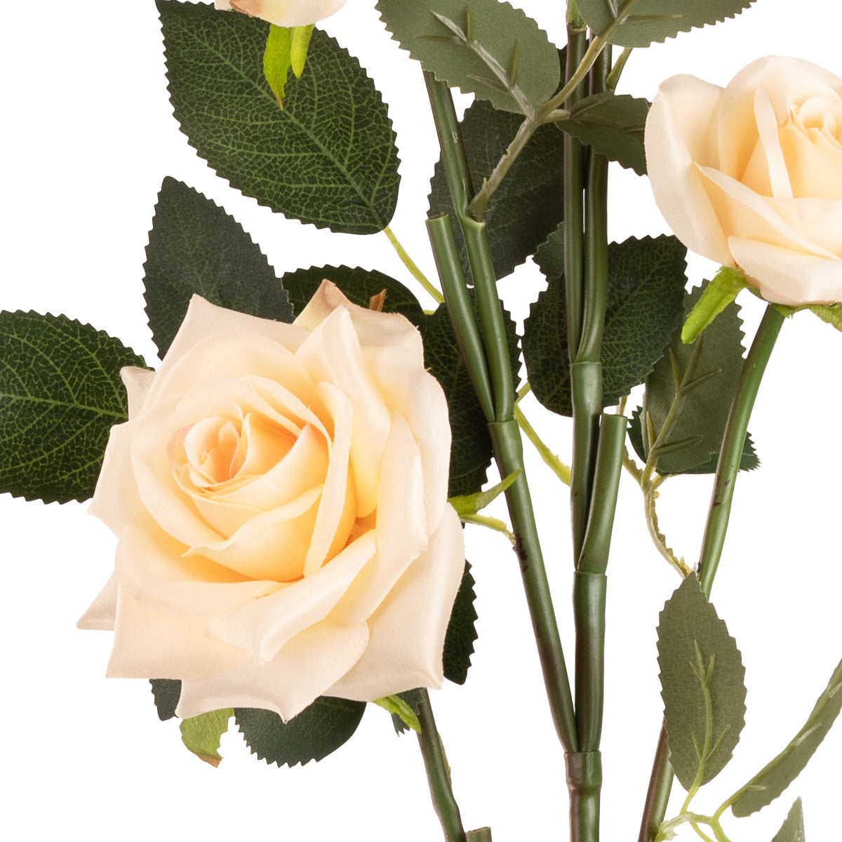 Large Diana Rose Spray x 5 Nude image 1