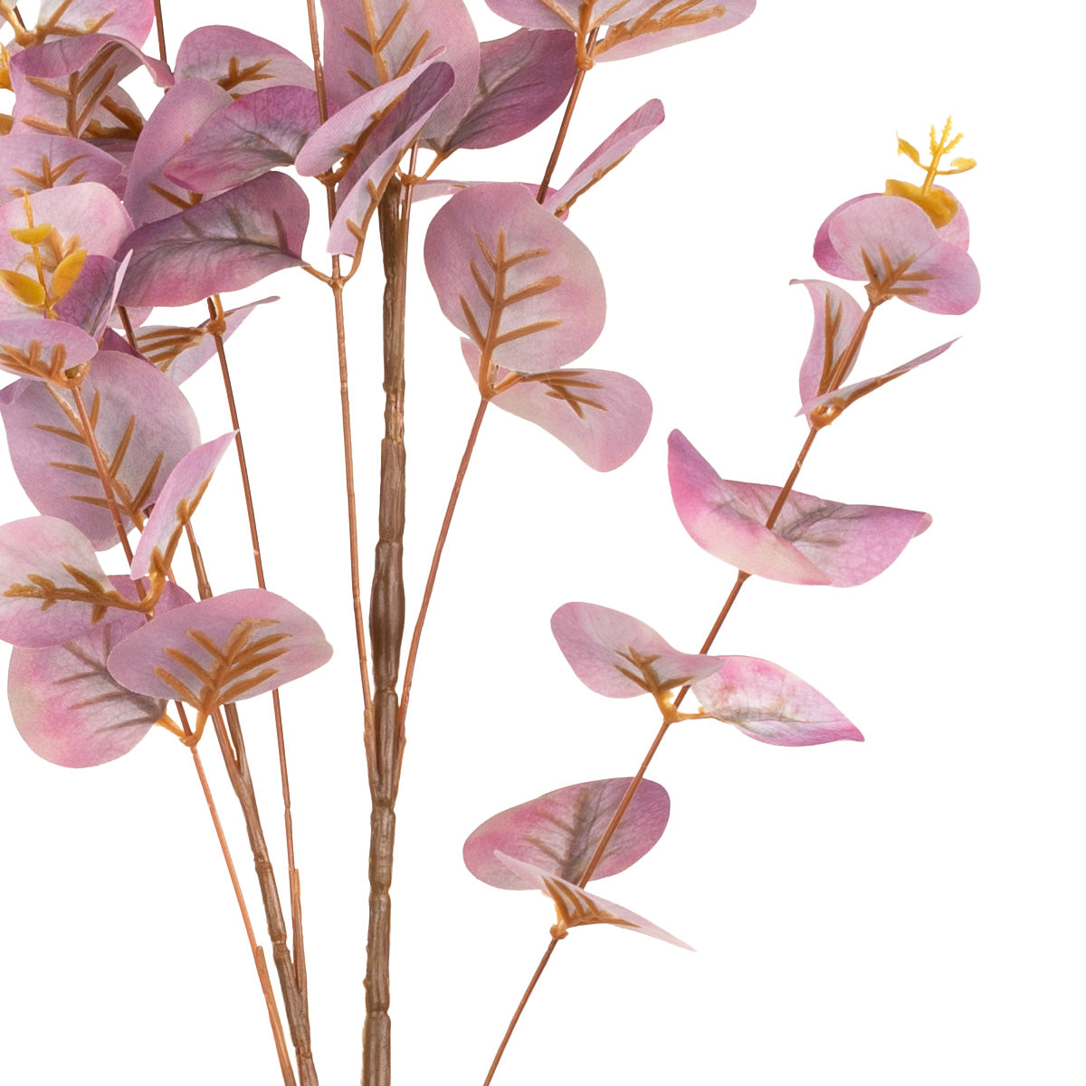 Eucalyptus Stem Mauve image 2