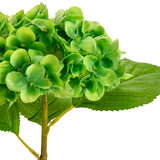 Small Head Hydrangea Lime Green image 2