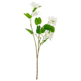 Bauhinia Spray White image 0