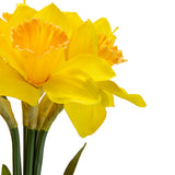 17" Daffodil Bouquet x 6 Heads Yellow image 1