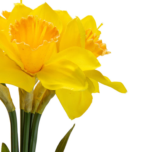 17" Daffodil Bouquet x 6 Heads Yellow image 1