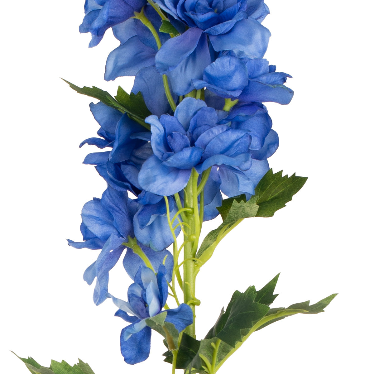 Delphinium x 26 Heads 106cm Blue image 2