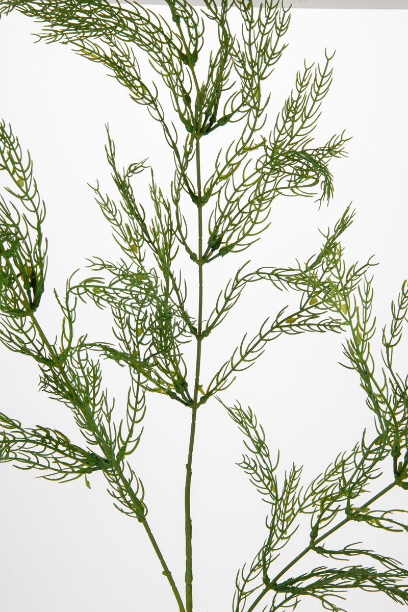 Wild Asparagus Spray Green image 1