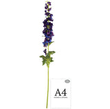 Delphinium x 26 Heads 106cm Purple image 1