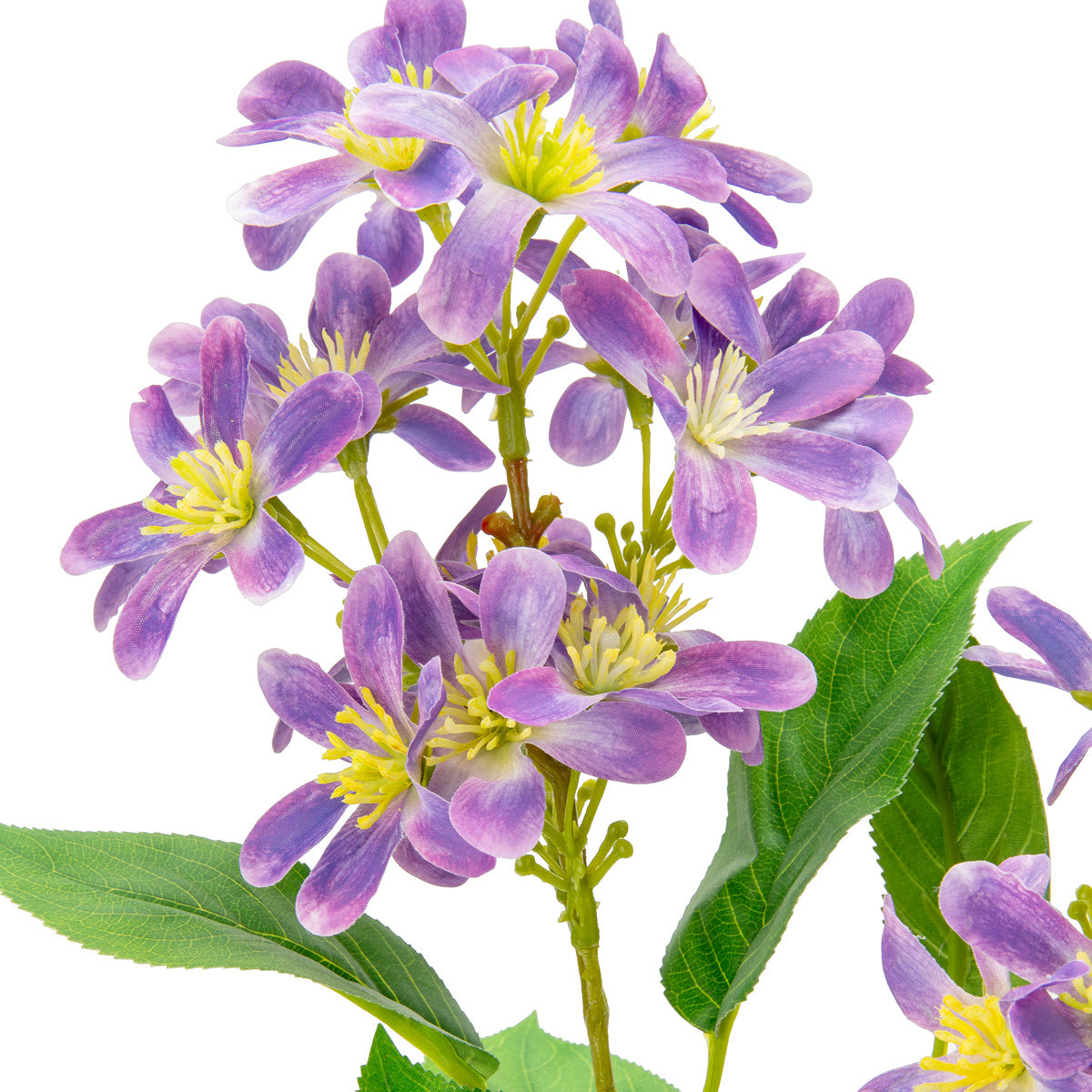 Vernicia Flower Spray x 2 Violet image 2