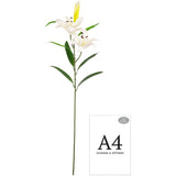 Lily Stem x 2, 1 Bud & 7 Leaves White image 2